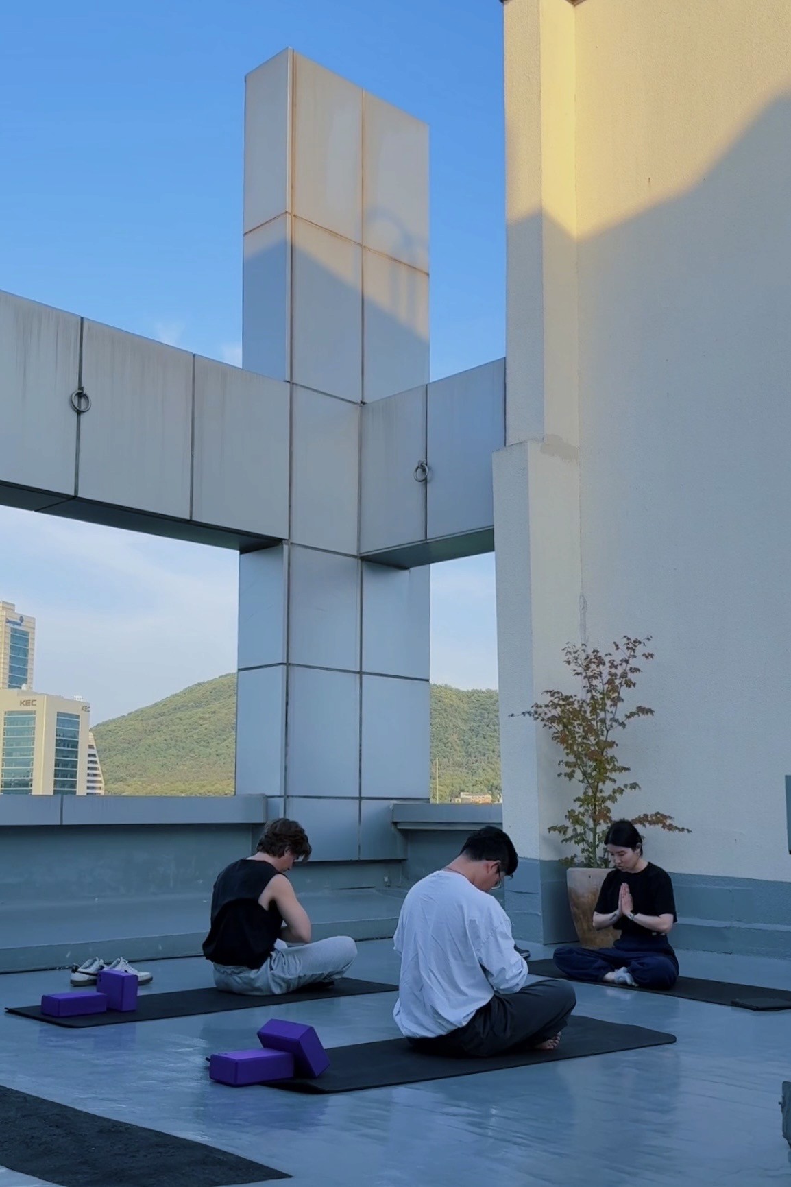 플로바 요가 — 함께하는 시간
